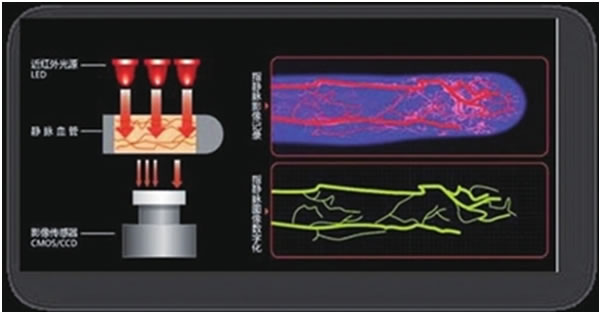 指靜脈識別:雖小眾卻更精準